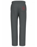 TS - Loose Fit Jog Pants Iron Grey